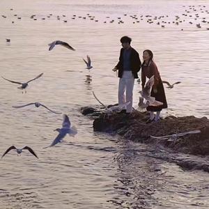 国产精品🈚码在线观看APP
